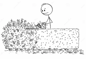 Arbeitseinsatz Bild 1 - Hecke